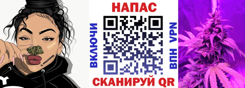 Конопля индика  Купить где  Михайловка 